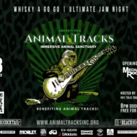 Ultimate Jam Night 2023 cover